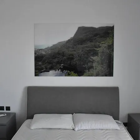 Stylish - Skylodge Tolo
